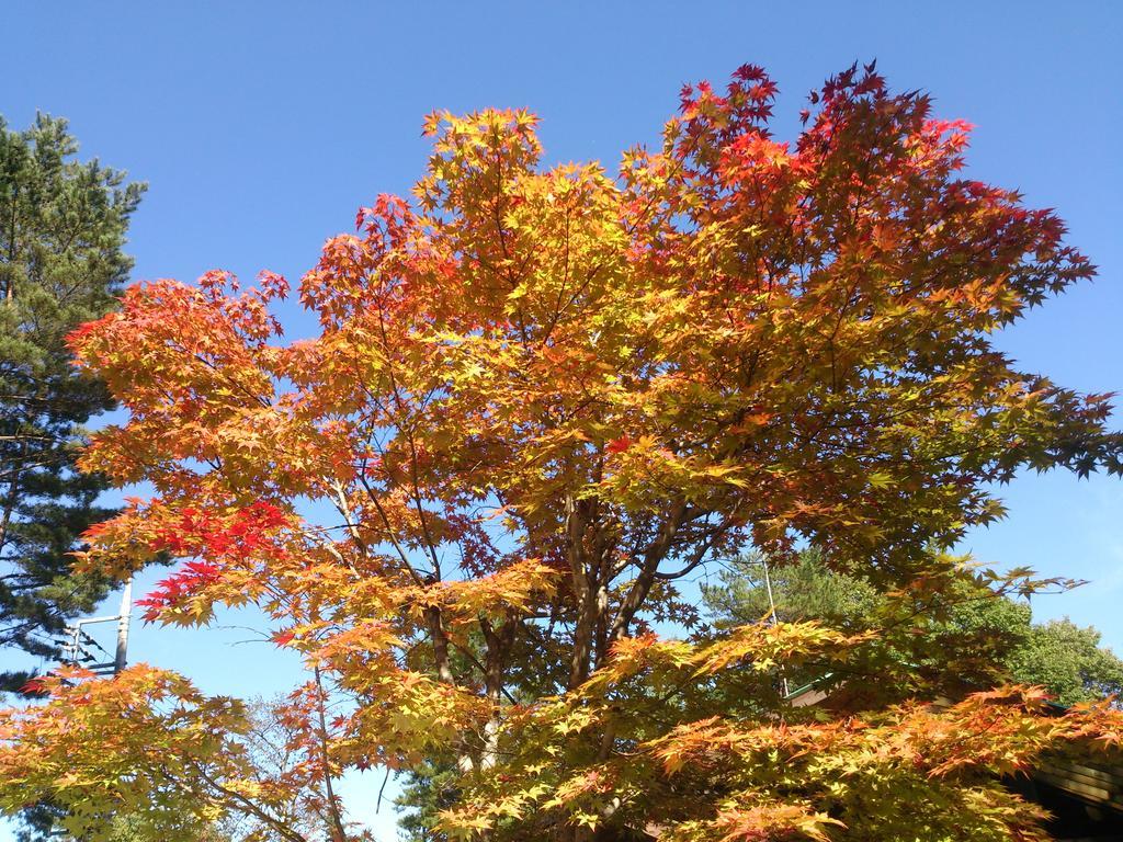 Runesu Karuizawa Kita-karuisawa Exterior photo
